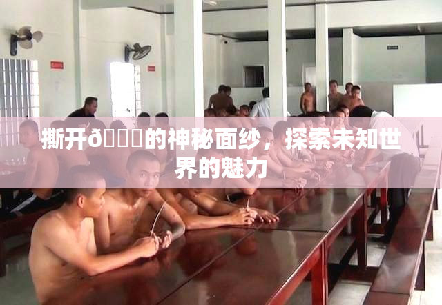 撕开👙的神秘面纱，探索未知世界的魅力