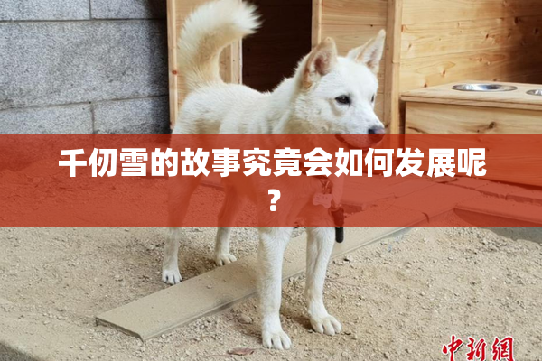 千仞雪的故事究竟会如何发展呢？