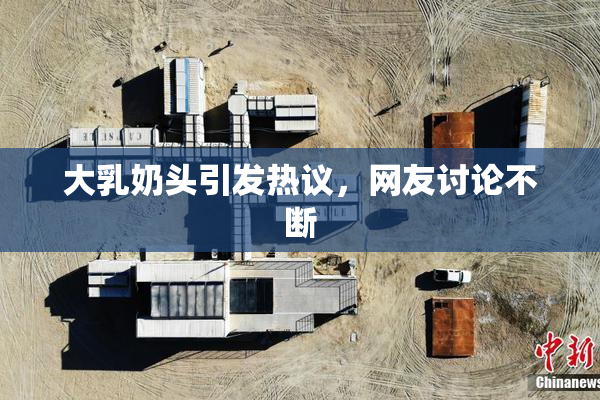大乳奶头引发热议，网友讨论不断