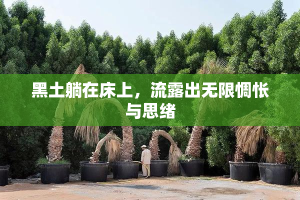 黑土躺在床上，流露出无限惆怅与思绪