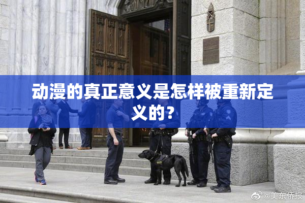 动漫的真正意义是怎样被重新定义的？