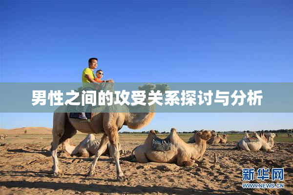 男性之间的攻受关系探讨与分析