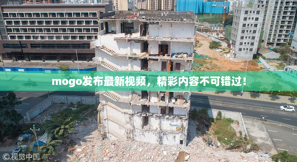 mogo发布最新视频，精彩内容不可错过！