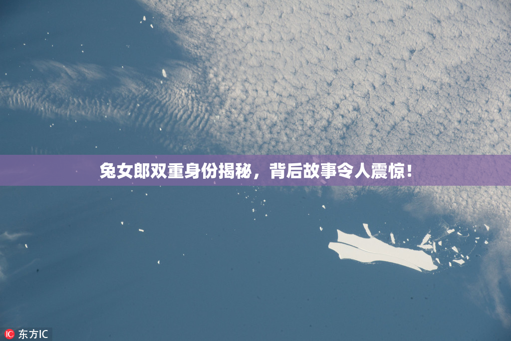 兔女郎双重身份揭秘，背后故事令人震惊！