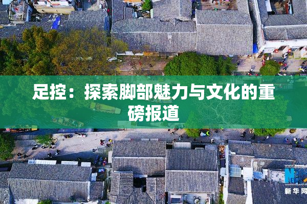 足控：探索脚部魅力与文化的重磅报道