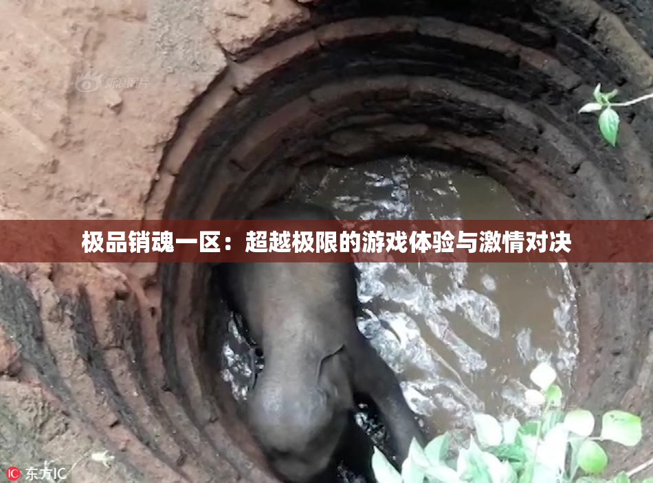 极品销魂一区：超越极限的游戏体验与激情对决