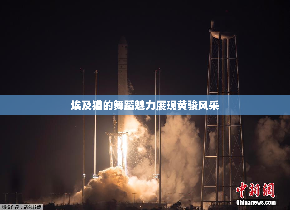 埃及猫的舞蹈魅力展现黄骏风采