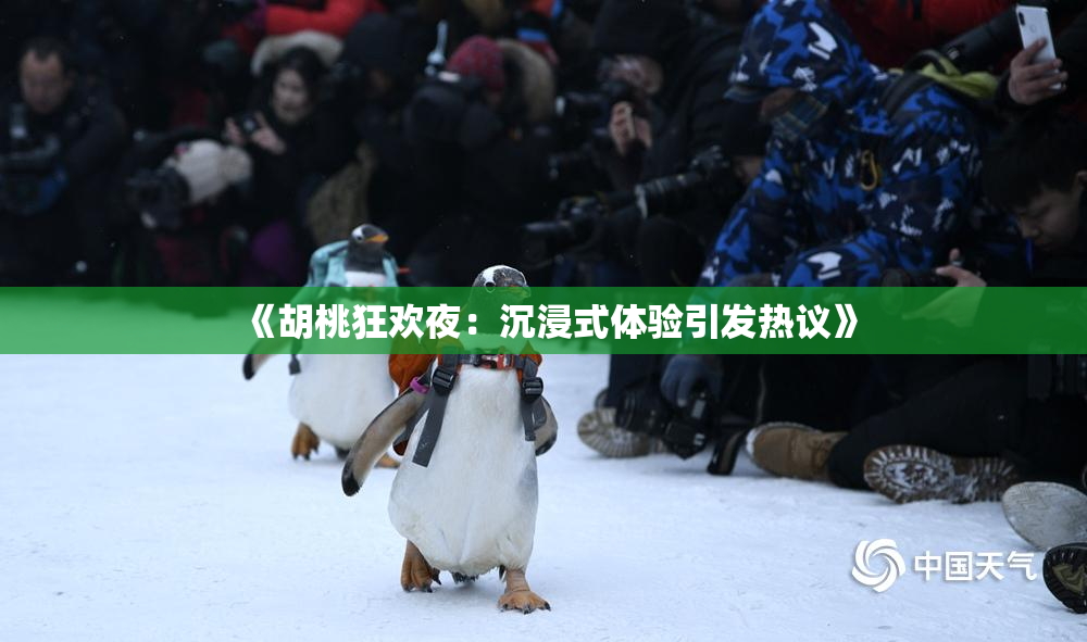 《胡桃狂欢夜：沉浸式体验引发热议》