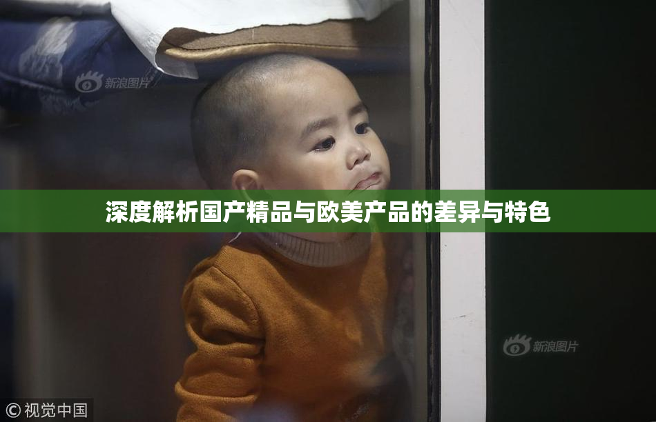 深度解析国产精品与欧美产品的差异与特色
