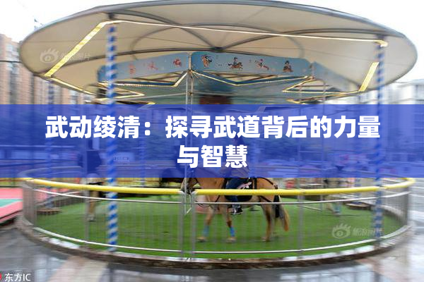 武动绫清：探寻武道背后的力量与智慧