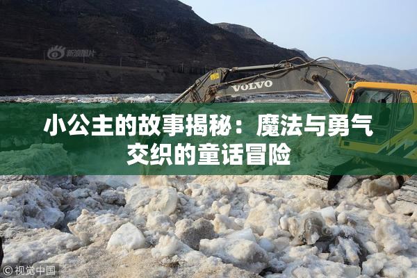 小公主的故事揭秘：魔法与勇气交织的童话冒险
