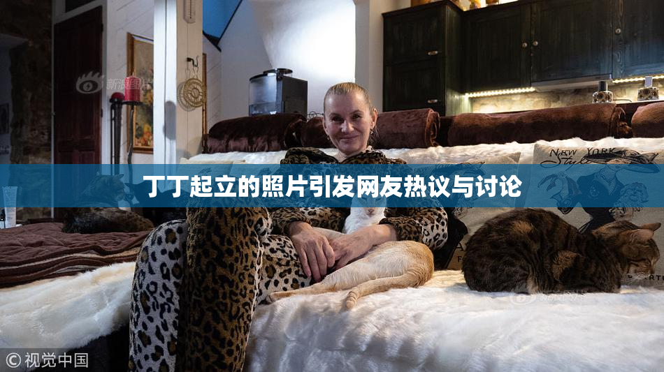 丁丁起立的照片引发网友热议与讨论