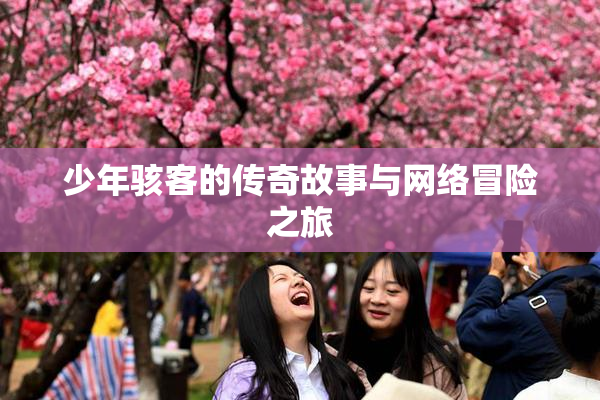 少年骇客的传奇故事与网络冒险之旅