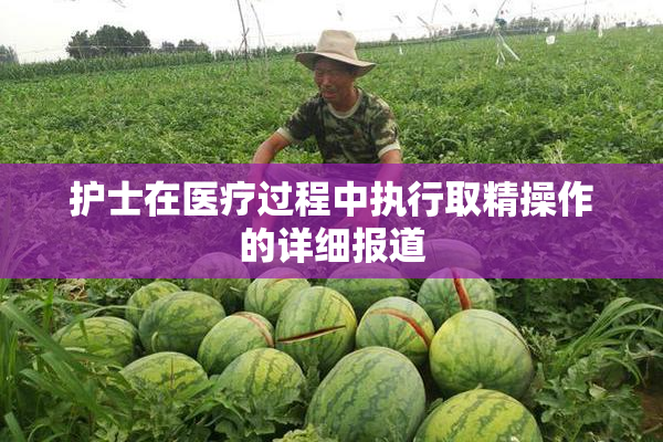 护士在医疗过程中执行取精操作的详细报道