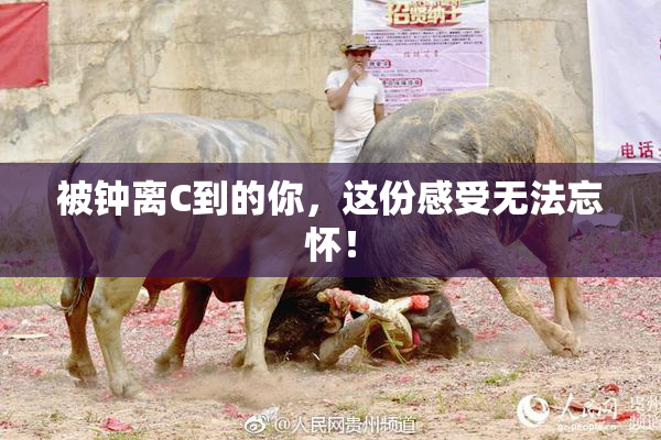 被钟离C到的你，这份感受无法忘怀！