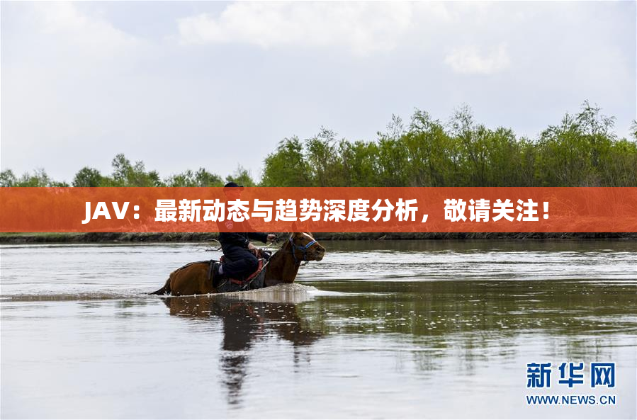 JAV：最新动态与趋势深度分析，敬请关注！