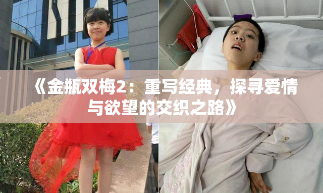 《金瓶双梅2：重写经典，探寻爱情与欲望的交织之路》