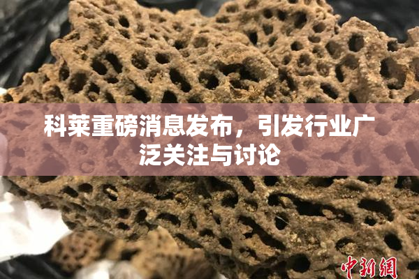 科莱重磅消息发布，引发行业广泛关注与讨论