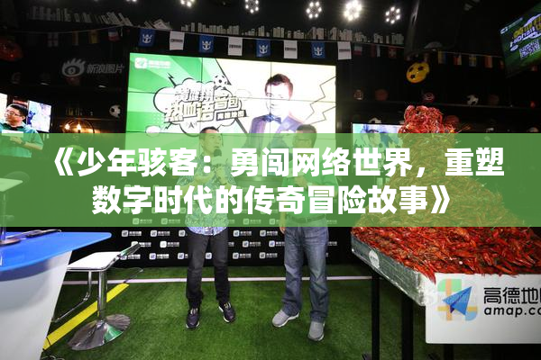 《少年骇客：勇闯网络世界，重塑数字时代的传奇冒险故事》