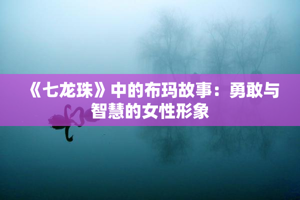 《七龙珠》中的布玛故事：勇敢与智慧的女性形象