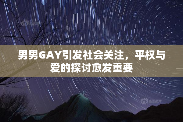 男男GAY引发社会关注，平权与爱的探讨愈发重要