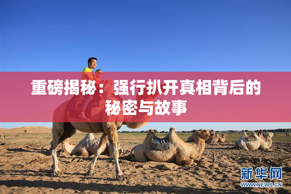 重磅揭秘：强行扒开真相背后的秘密与故事