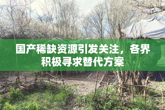 国产稀缺资源引发关注，各界积极寻求替代方案