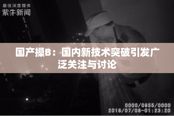 国产搡B：国内新技术突破引发广泛关注与讨论