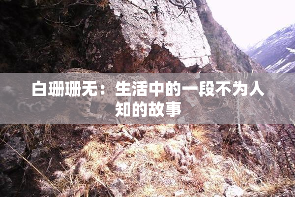 白珊珊无：生活中的一段不为人知的故事