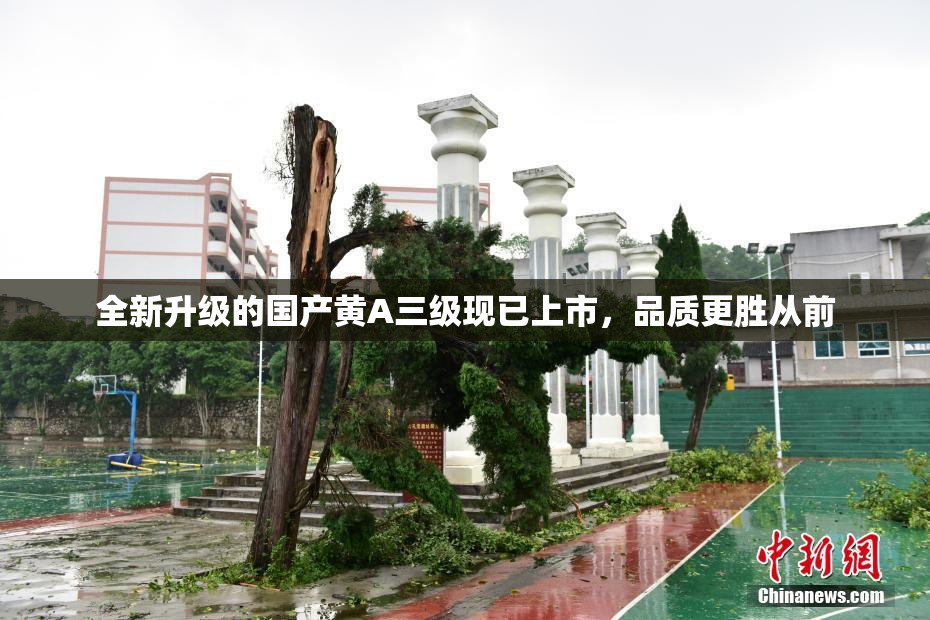 全新升级的国产黄A三级现已上市，品质更胜从前