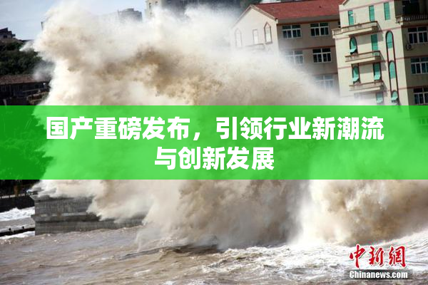 国产重磅发布，引领行业新潮流与创新发展