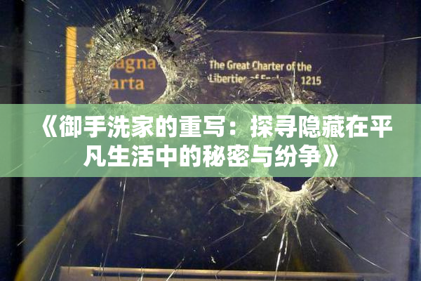 《御手洗家的重写：探寻隐藏在平凡生活中的秘密与纷争》