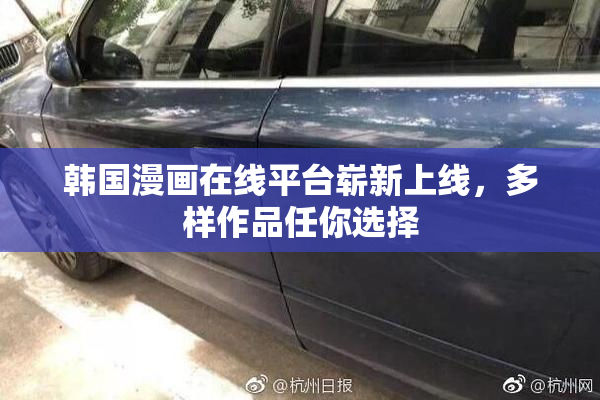 韩国漫画在线平台崭新上线，多样作品任你选择