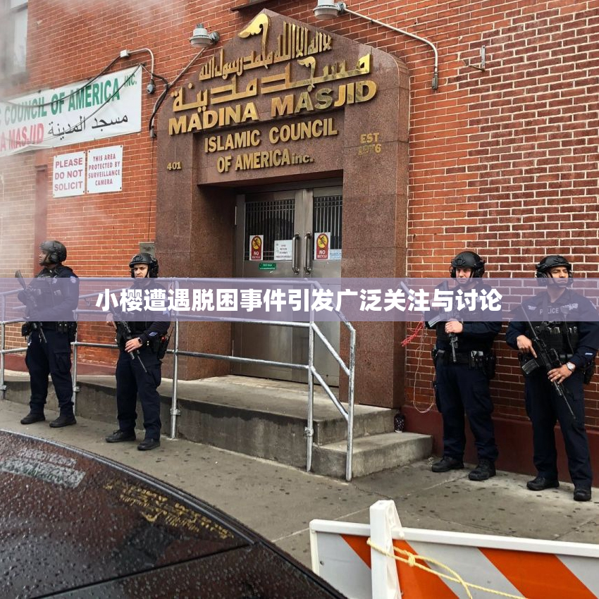 小樱遭遇脱困事件引发广泛关注与讨论