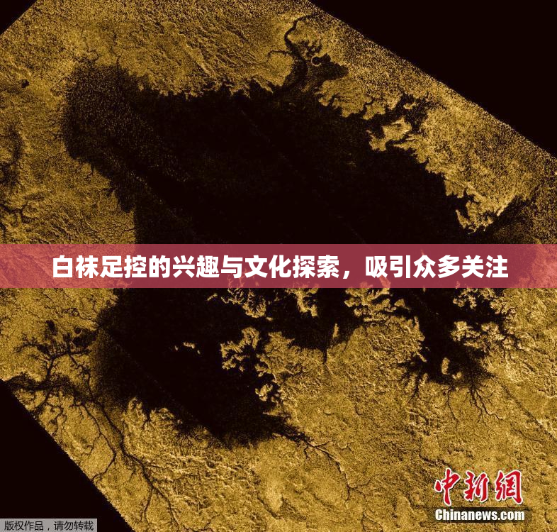 白袜足控的兴趣与文化探索，吸引众多关注