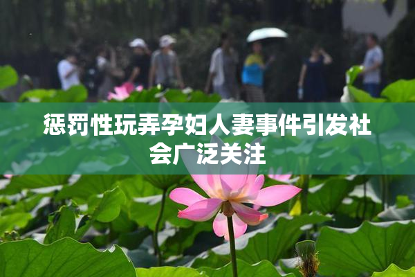 惩罚性玩弄孕妇人妻事件引发社会广泛关注