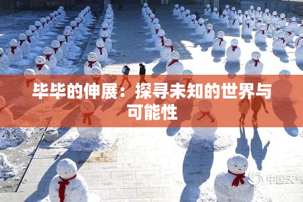 毕毕的伸展：探寻未知的世界与可能性