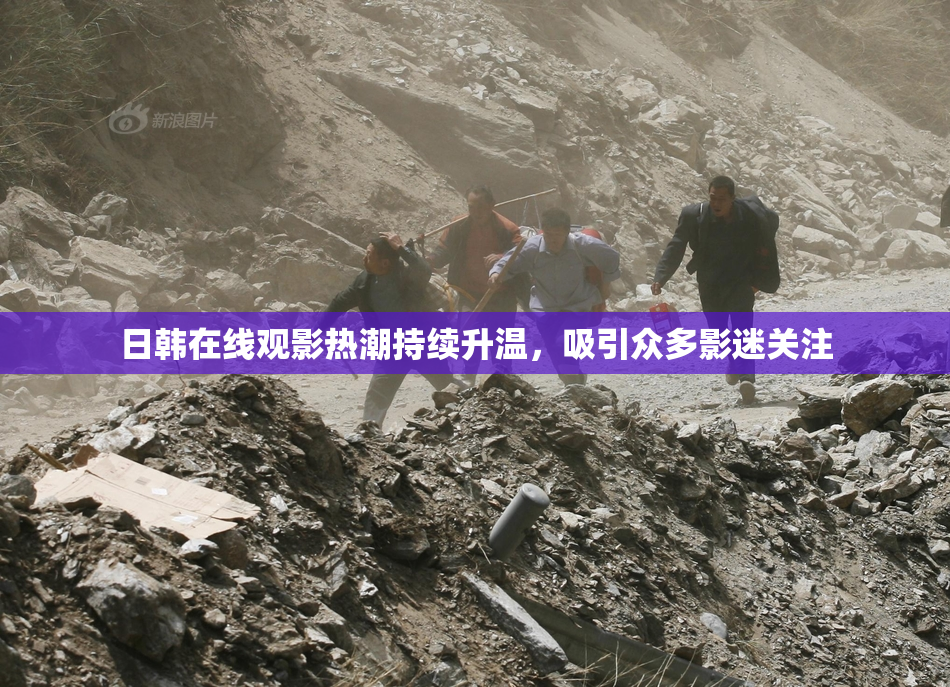 日韩在线观影热潮持续升温，吸引众多影迷关注
