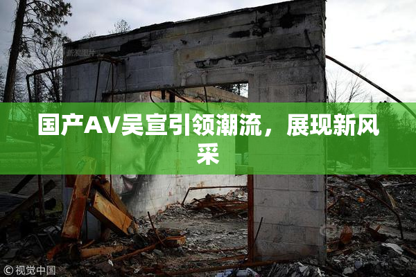 国产AV吴宣引领潮流，展现新风采
