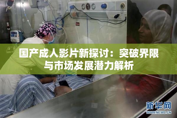 国产成人影片新探讨：突破界限与市场发展潜力解析