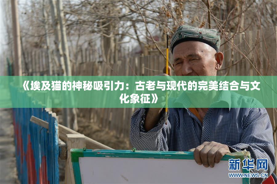 《埃及猫的神秘吸引力：古老与现代的完美结合与文化象征》