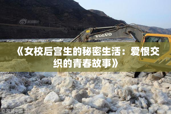《女校后宫生的秘密生活：爱恨交织的青春故事》