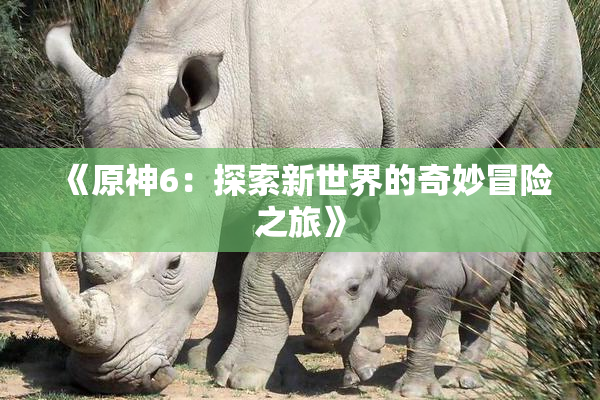 《原神6：探索新世界的奇妙冒险之旅》