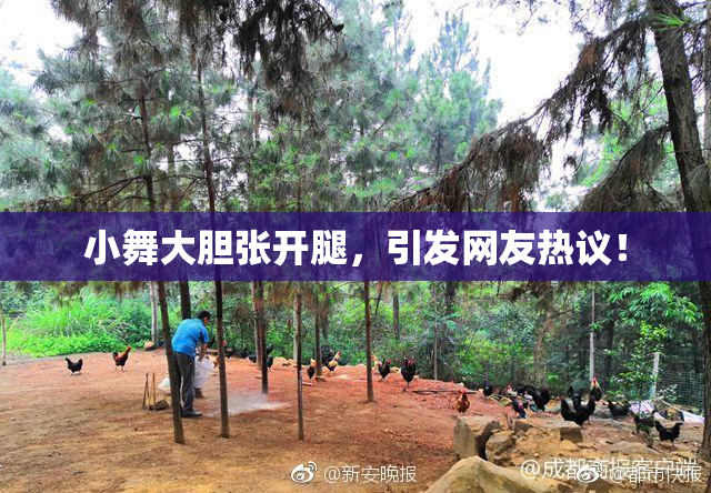 小舞大胆张开腿，引发网友热议！