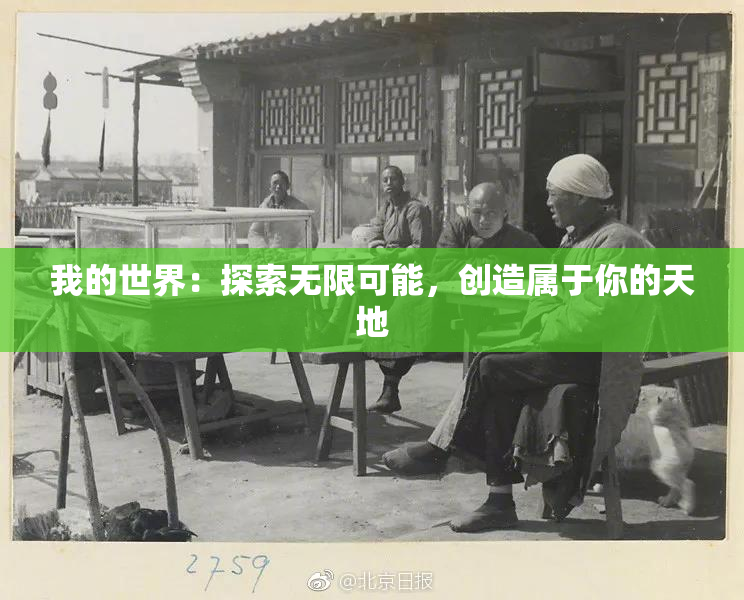 我的世界：探索无限可能，创造属于你的天地