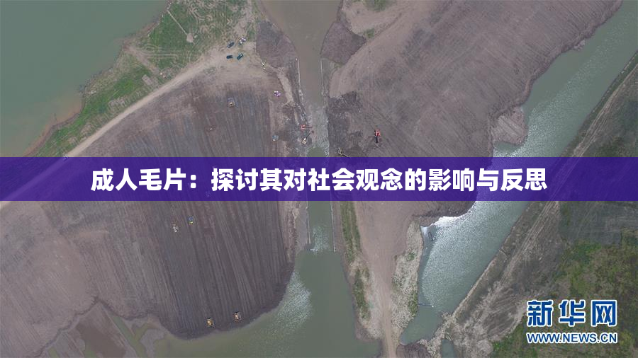 成人毛片：探讨其对社会观念的影响与反思