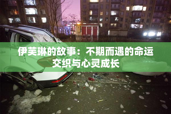 伊芙琳的故事：不期而遇的命运交织与心灵成长