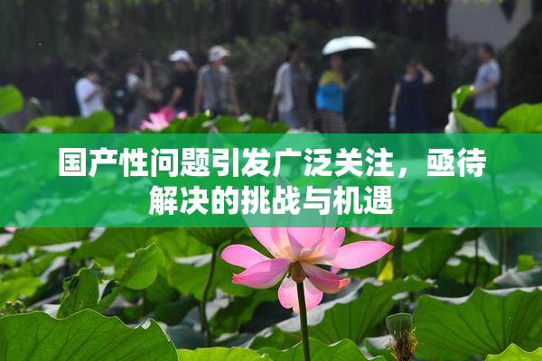 国产性问题引发广泛关注，亟待解决的挑战与机遇
