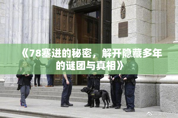 《78塞进的秘密，解开隐藏多年的谜团与真相》