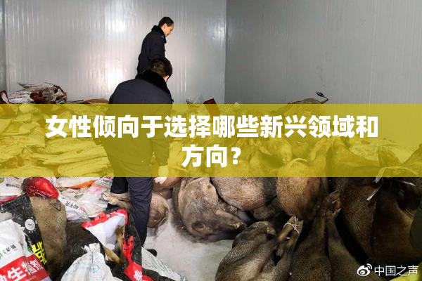 女性倾向于选择哪些新兴领域和方向？